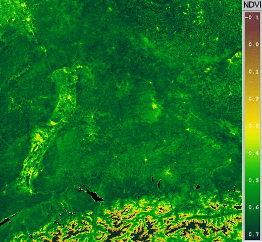 NOAA-NDVI April Oberrheingraben Satbild