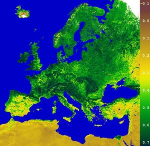 NDVI Europa Satbild NOAA