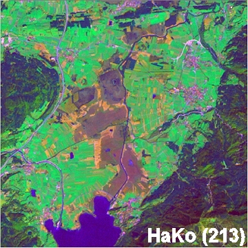 Beispiele fr HaKo-Karten