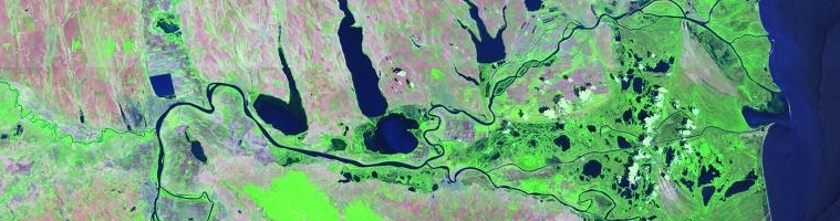 Donau-Delta